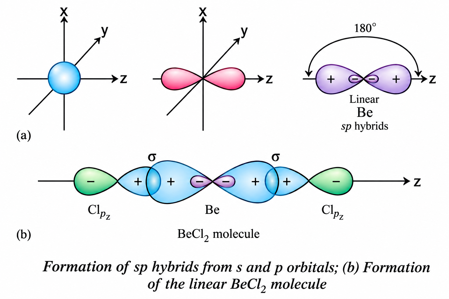 Fig 4.10 Formation of BeCl₂ sp Hybrid Orbitals